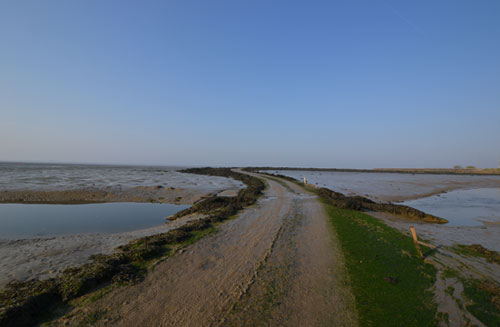Osea Island Causeway