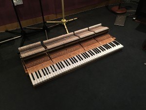 Steinway Livingston Studio 1 Grand Piano Keys  